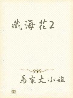藏海花2