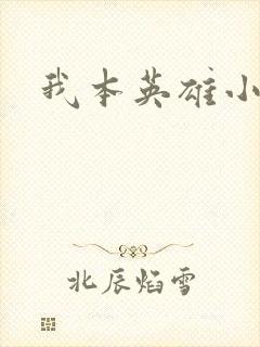 我本英雄小说