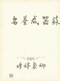 名养成器苏沫沫