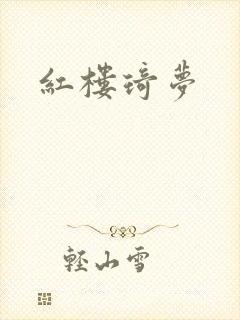 红楼琦梦