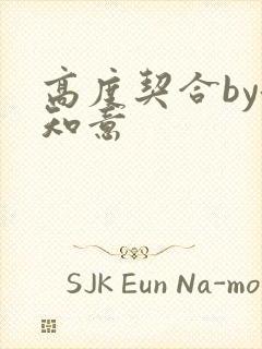 高度契合by洛知意