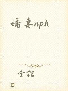 娇妻nph