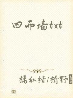 四面墙txt