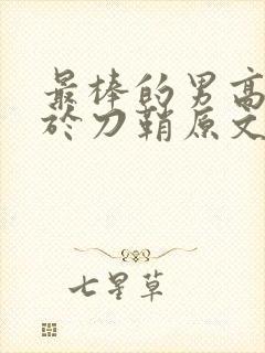 最棒的男高中生于刀鞘原文阅读