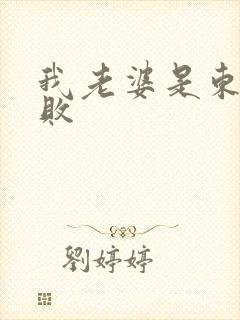 我老婆是东方不败