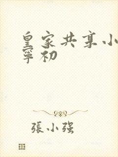 皇家共享小公主宁初