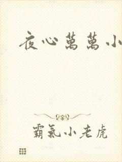 夜心万万小说