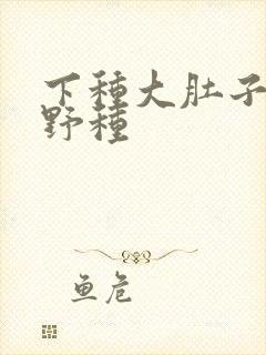 下种大肚子怀孕野种