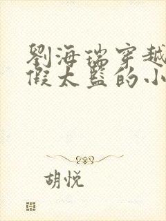 刘海瑞穿越后宫假太监的小说