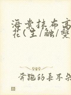 海棠抹布高岭之花(生/触/双)