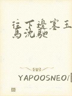 往下边塞玉器骑马沈驰