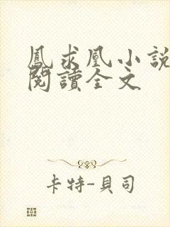 凤求凰小说免费阅读全文