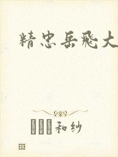 精忠岳飞大结局