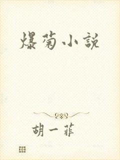 爆菊小说