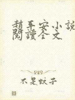 赵平安小说免费阅读全文