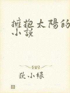 拥抱太阳的月亮小说