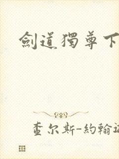 剑道独尊下载