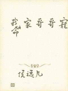 我家哥哥宠妹如命