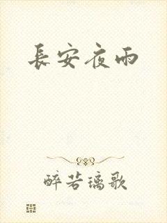 长安夜雨