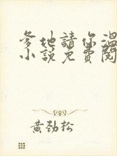 爹地请你温柔点小说免费阅读