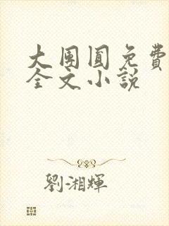 大团圆免费阅读全文小说