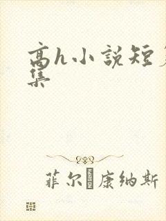 高h小说短篇合集