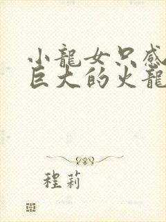 小龙女只感觉那巨大的火龙枪