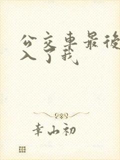 公交车最后一排入了我