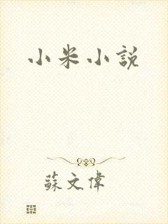 小米小说