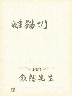 雌猫们