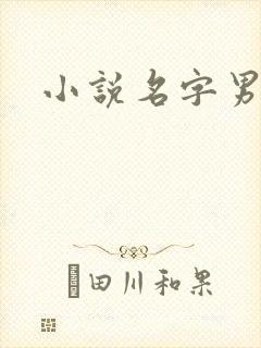 小说名字男生