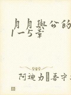 月月与公的激情1一5章