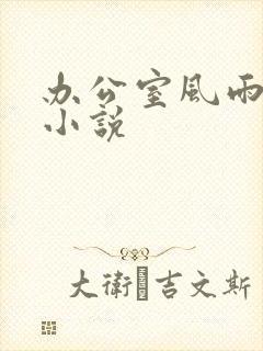 办公室风雨完整小说