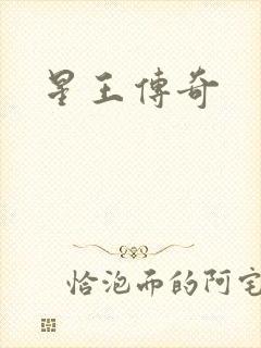 星王传奇