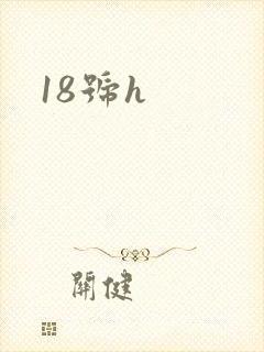 18号h