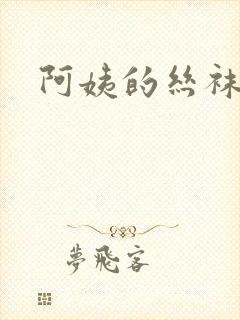 阿姨的丝袜小说