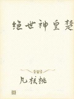 绝世神皇楚风