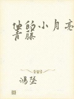 他的小月亮by青藤