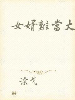 女婿难当大结局