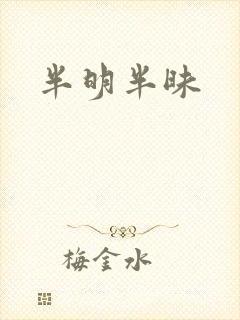 半明半昧