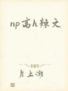 np高h辣文