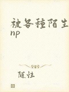 被各种陌生人 np