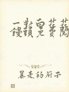 一对白花花的大馒头免费阅读