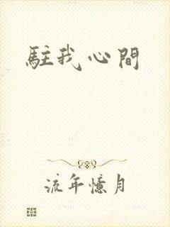 驻我心间