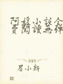 阿媛小说全文免费阅读无弹窗笔趣阁