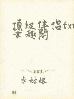 顶级伴侣txt笔趣阁