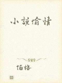 小说偷情
