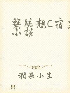 系统想C宿主的小说