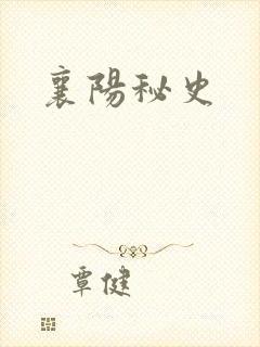襄阳秘史