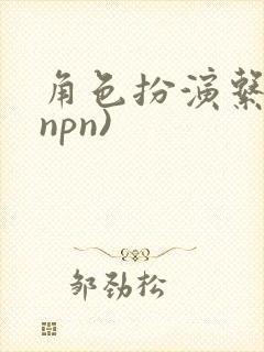 角色扮演系统(npn)